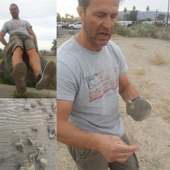 Unser Ausflug in die Welt der Kakteen