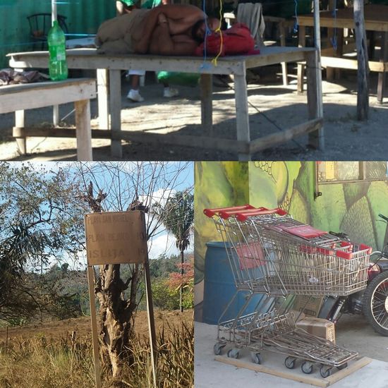 Der Herr ear die Nachtwache für die Stände 
Eines unserer 5 Verkehrsschilder auf 100 km
Die Einkaufswagen vorm Minisuper