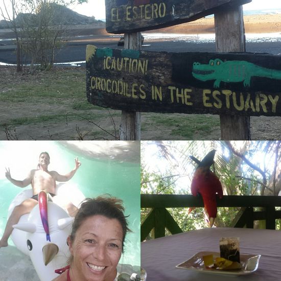 Unser weisses Einhorn im Pool,  der Papagei beim Frühstück und der freundliche Hinweis auf das Krokodil