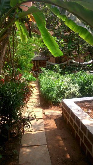 Garten des Guesthouses