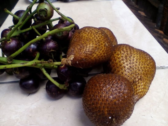 Die roten sind sehr sauer und auch im Internet nicht zu finden, die braunen sind Schlangenfruechte (lecker!).