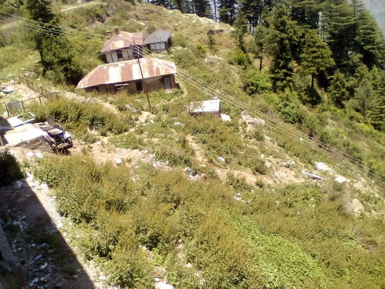 Müll in den Bergen rund um Shimla, obwohl dort Plastiksackerl seit 4 Jahren verboten sind!