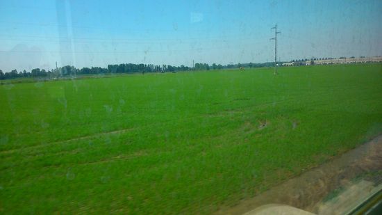 Italienische Reisfelder