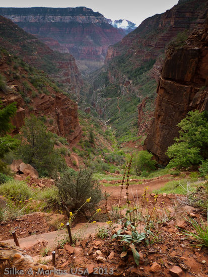 North Kaibab Trail unterhalb des Supai Tunnels