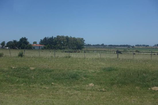 Da steht schon das Abendessen 