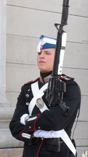 Junger Wachsoldat der königlichen Garde