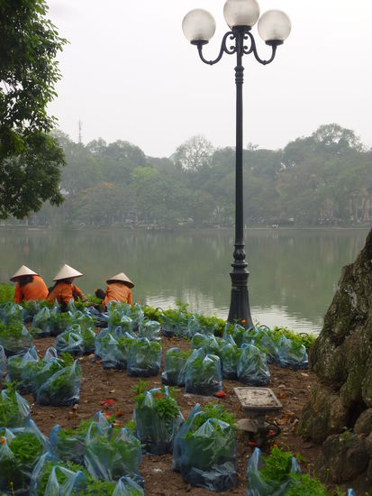Der Hoan-Kiem-See. Die Damen waren fleißig am pflanzen, alles sehr schön begrünt.