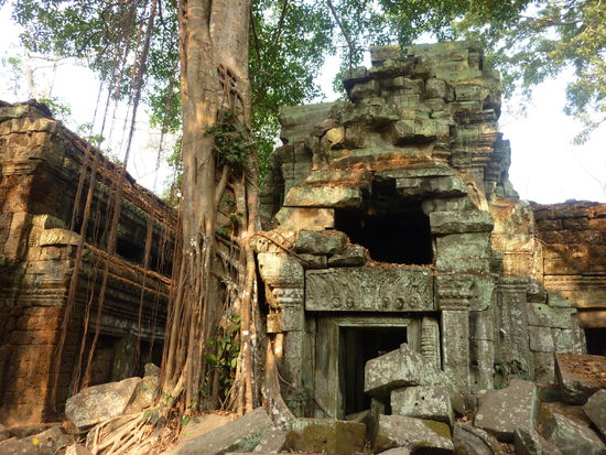 Ta Prohm