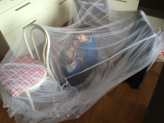 2 Mosquitos im Netz.