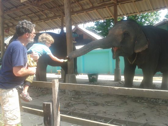 Roman und der Rüssel.