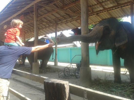 Julius hat sich das ganze lieber aus ein bisschen Entfernung angeschaut.