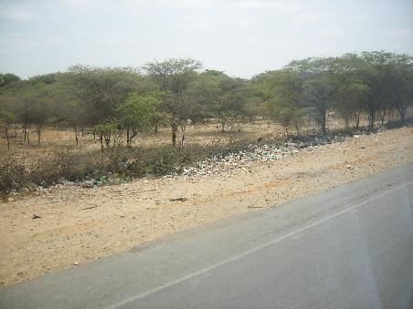 Abfallhaufen Panamericana