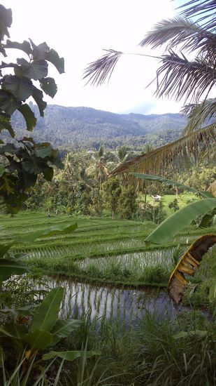 On the way
Ùt közben