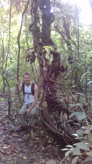 Fast wie Tarzan haben wir uns durch den Bali Barat Nationalpark bewegt 
Mint Tazan, úgy kevertünk a Bali Barat nemzeti Parkban