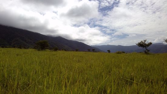 Die Landschaft auf dem Weg zu den Megalithen ähnelt der afrikanischen Steppe