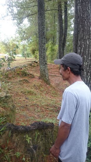 Stolz führt uns Natsir in seinem Reich herum: "Hier war früher nichts, der Boden war so schlecht, dass nichts darauf gewachsen ist. Alles was jetzt hier ist, habe ich gepflanzt und gebaut." Den schlechten Boden kann man auf diesem Bild gut sehen...
Büszkén vezet körbe minket kis birodalmában: "Itt korábban semmi sem volt, a talaj olyan rossz volt, hogy semmi sem nőtt itt. Minden ami most itt van én vetettem és építettem." A rossz talajt a képen jól látni.