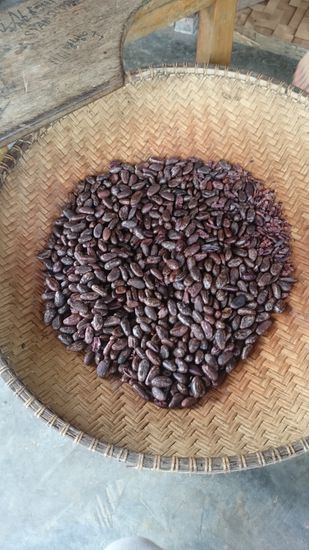 Das Ergebnis lässt sich sehen!
Az eredmény magáért beszél 