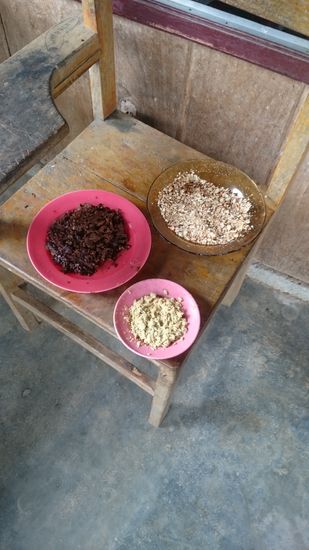 Nachdem die Kakaobohnen zu einer gleichmäßigen Pampe zerstoßen wurden, geben wir folgende Zutaten hinzu:
Palmzucker, geröstete Erdnüsse und Ingwer
Miután a babok olajos masszává váltak pálmacukrot, földimogyorót és gyömbért adtunk hozzá 