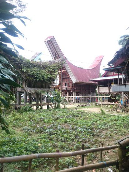 Dies ist ein traditionelles Toraja-Haus:
Heutzutage stehen die meisten dieser Häuser leer: Vererben Eltern ein solches Haus, muss das Kind, welches tatsächlich einzieht, die anderen Kinder auszahlen und das natürlich in Wasserbüffeln. Aus diesem Grund zieht meistens niemand ein...
Ez egy tradicionális Toraja ház. Manapság a legtöbb üresen áll. Ha egy ilyen ház öröklődik, az örökös ki kell hogy fizesse a többi családtagot, természetesen legtöbbször bivalyban, ezért senki nem költözik be.