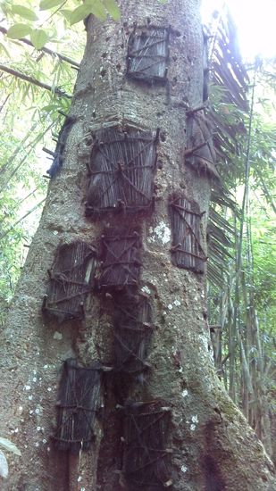 ...sie bekommen lediglich eine neue Mutter. Der Baum, in welchen die Gräber eingelassen sind, wird die neue Mutter.
Die Mutter des Kindes darf bei der Beerdigung nicht dabei sein, da sie das Kind seiner neuen Mutter überlassen muss.
... hanem egy új édesanyjuk lesz. A fa amiben eltemetik őket, lesz az új anya. A gyermekek édesanyja nem vehet részt a temetésen, így bízva rá az új anyára a gyereket.