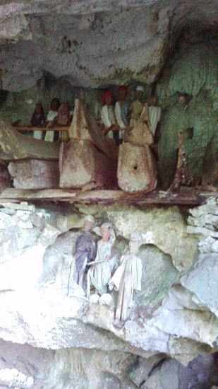 Felsengräber mit Holzfiguren der Verstorbenen - früher war es Tradition, jedem Verstorbenen, für den eine bestimmte Anzahl an Wasserbüffeln geopfert wurden, solche eine geschnitzte Holzfigur, genannt Tau Tau, anfertigen zu lassen
Sziklasírok az elhunytak fababáival - korábban szokás volt, hogy aki egy bizonyos számú bivalyt áldozott az kapott egy fargott faszobrocskát az úgynevezett Tau Tau-t.