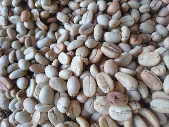 Nach der Pergamenthaut ist nur noch das Silberhäutchen an den Bohnen - also nochmal zerstoßen 
A Pergamentréteg után csak az ezüstréteg maradt hátra - tehát még egyszer a mozsárba vele.