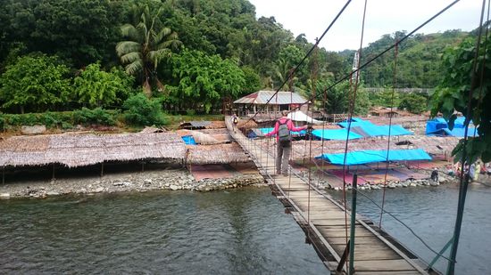 Der Beginn unerer zweitägigen Dschungeltour führt uns über diese Brücke - maximal vier Leute gleichzeitig bitte 
A kétnapos túra kezdetén ezen a kötélhídon szögdeltünkát: Tartsd tiszteeletben hogy maximum 4 fő egyszerre! - állt a táblán