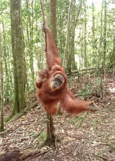 Das ist Mina mit ihrem Baby...
Mina a bébijével