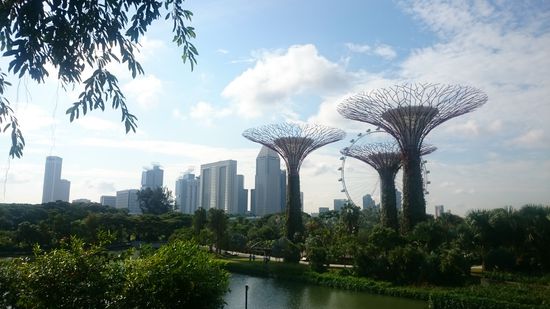 Die "Supertrees" sieht man schon von Weitem:
A "szuperfákat már távolról is látni:
