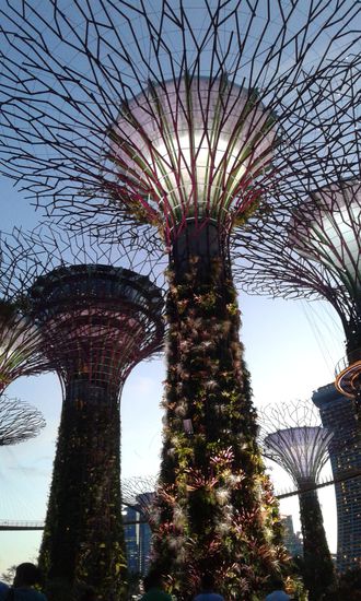 diese modern konzipierten "Bäume" produzieren genügend Strom über ihre Solarpanels, um...
Ezek a modern "fakoncepciók elég áramot termelnek napelemeikkel, hogy