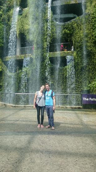 Cloud Forest...
ködös erdőben...