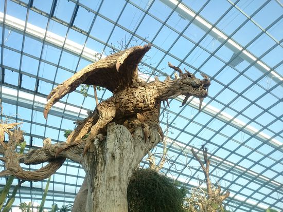 Kunst im Flower Dome 
Művészet a virágdómban