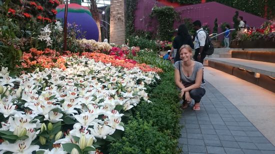 Blümchen 
Virágocska