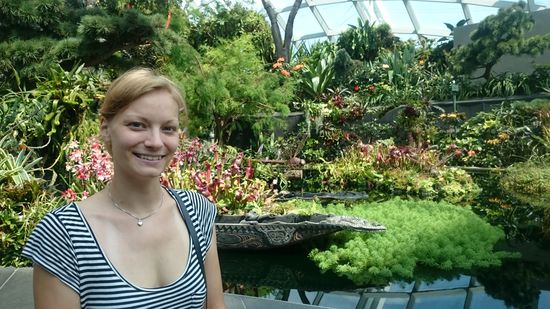 Ganz oben angekommen 
A hegy tetején