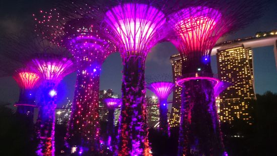 beleuchtet zu werden:
Zweimal jeden Abend geben die Supertrees eine Licht- und Musikshow zum Besten  - kostenlos, versteht sich!
éjjel ki legyenek világítva. Minden enste kétszer ingyenes fény és zeneshow tartatik a parkban.