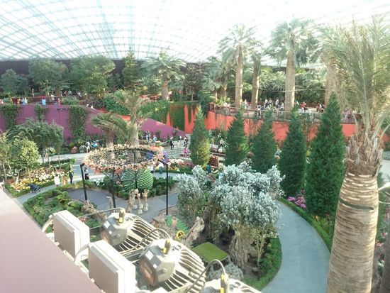 Aussicht auf den Flower Dome mit den verschiedenen abgebildeten Gebieten
Kilátás a virágdómban a különböző témavilágokra