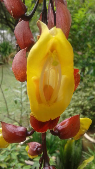 ...oder diese.
...vagy ez.