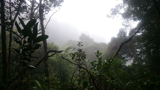 Und plötzlich sind wir mitten im Nebel 
És egyszer csak bekerültünk a ködbe