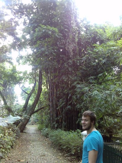 Ein bisschen Dschungelfeeling im Botanischen Garten
Egy kis Dzsungelfeeling a Botanikus Kertben.