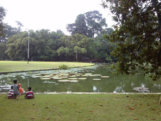Einheimische genießen auch gerne die Ruhe im Gaten.
A helyiek is szívesen kiülnek a kertbe lazulni