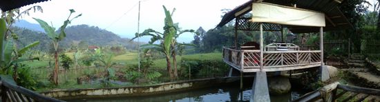 Aussicht von unserem Balkon im Bamboo Homestay
Kilátás a teraszunkról a Bambuszszálláson