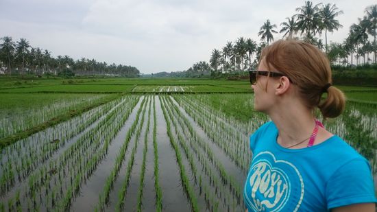 Durch Reisterassen zum Strand
Rizsföldeken keresztül le a strandra.