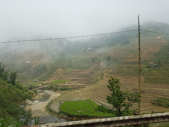 Reisterrassen auf dem Weg nach Sapa