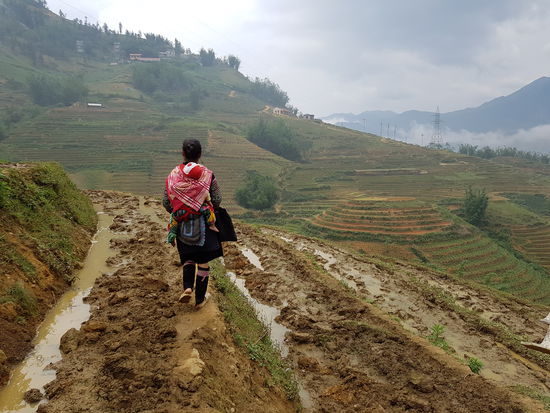 Quer durch matschige Reisterrassen