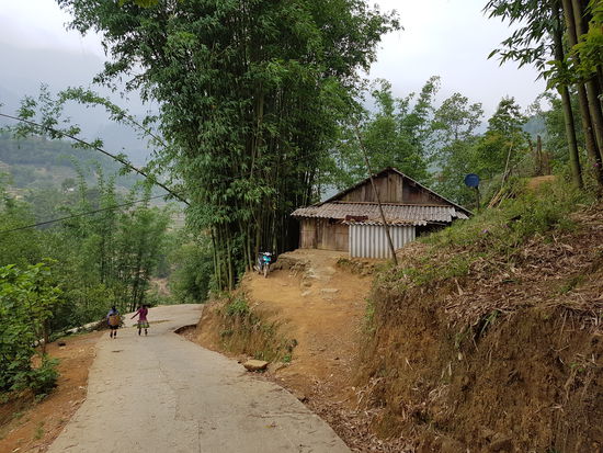 Songs Haus - umgeben von riesigem Bambus