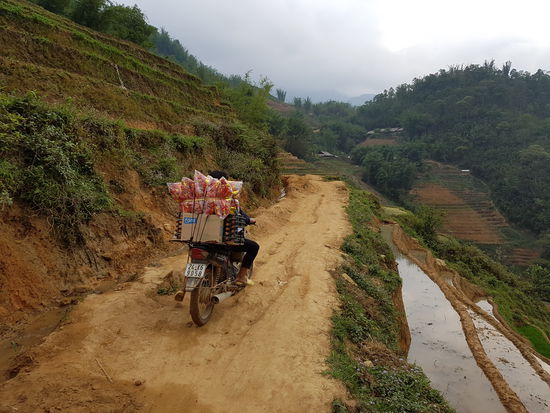 Auch durch die Reisfelder wird alles transportiert, was der Mensch so braucht