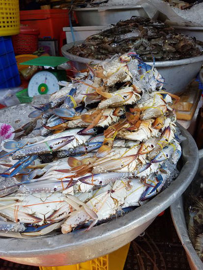 Lebende Krebse am Central Market