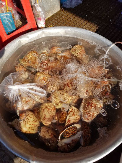 Riesige Muscheln am Central Market