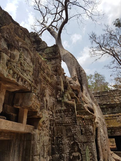 Ta Prohm