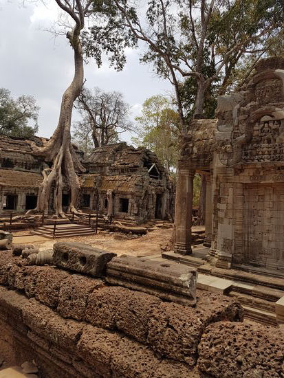 Ta Prohm